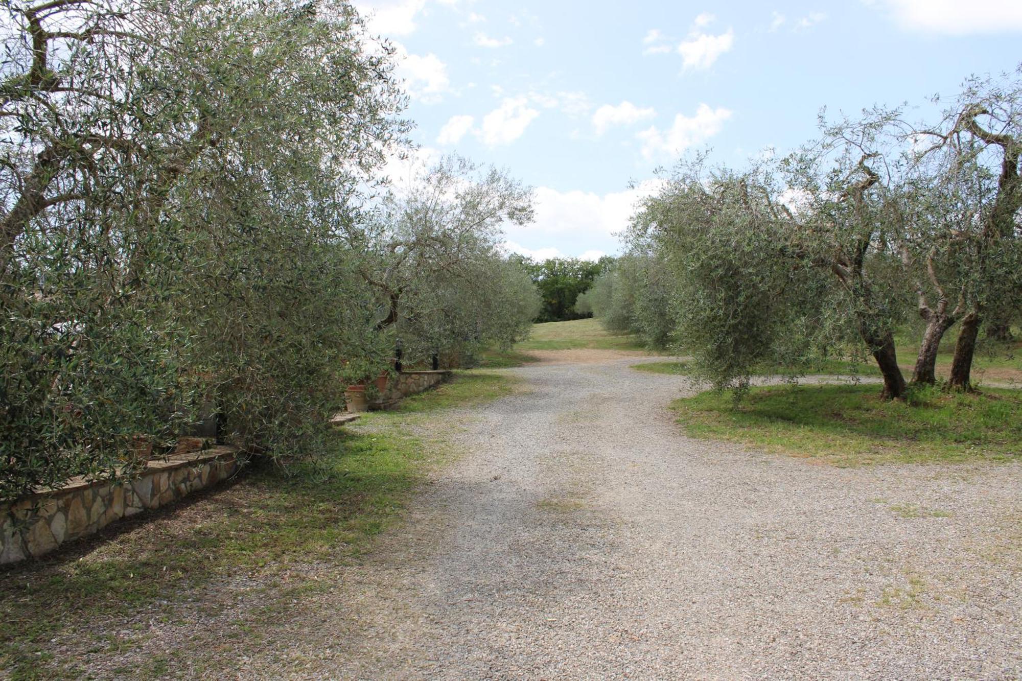 Agriturismo Cantagalli San Quirico dʼOrcia Exteriér fotografie