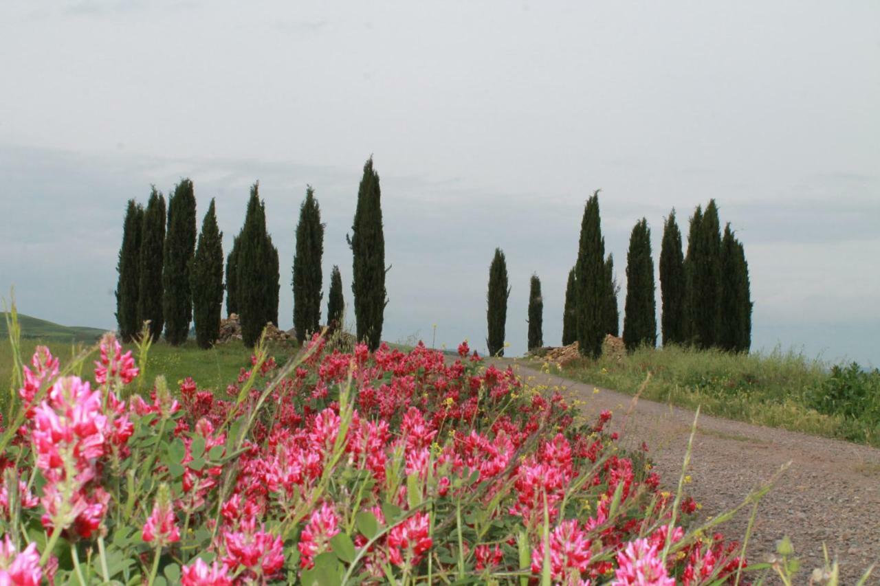 Agriturismo Cantagalli San Quirico dʼOrcia Exteriér fotografie